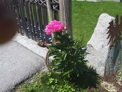 Apartment Apartment mit Blick in die Berge - Features photo 42