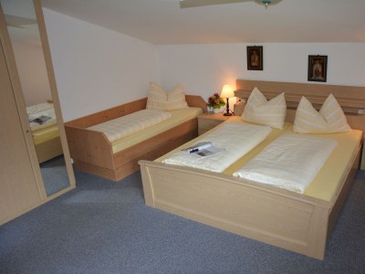 Apartment Apartment Optimal Top 8 in Kaltenbach - Apartment