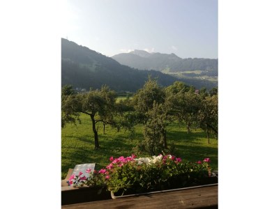 Apartment Apartment Wildauer - Outdoor photo 18