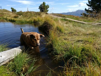 Apartment Appartement Typ B1 - Outdoor photo 43