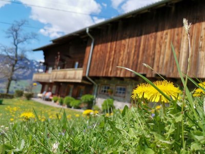 Apartment Gletscherblick - Outdoor photo 17