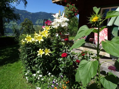 Apartment Gletscherblick - Outdoor photo 18