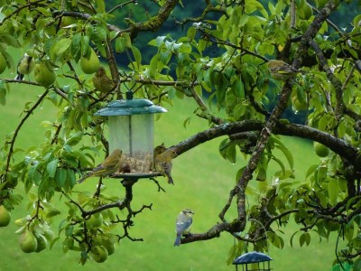 Apartment Gletscherblick - Outdoor photo 20