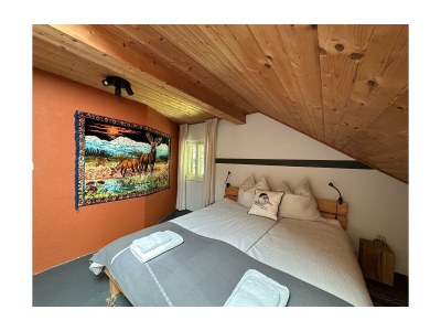 Apartment TOP 1 mit 4 Schlafzimmern - Features photo 19