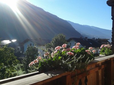 Apartment Ap./Wohn-Schlafr./4Schlafr./Du/WC - Features photo 33