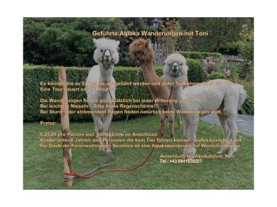 Apartment TOP 2 - Outdoor photo 11