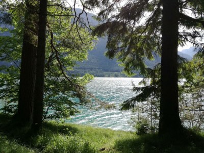 Apartment Appartement 1_3 SZ - Outdoor photo 29