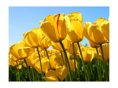 Apartment Ferienwohnung Süd-West - Outdoor photo 3