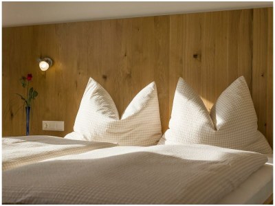 Apartment Hochleger in Ried im Zillertal - Apartment