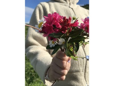 Apartment Apart ban Zilla - Outdoor photo 17