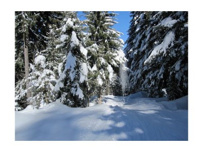 Apartment Apart ban Zilla - Outdoor photo 27