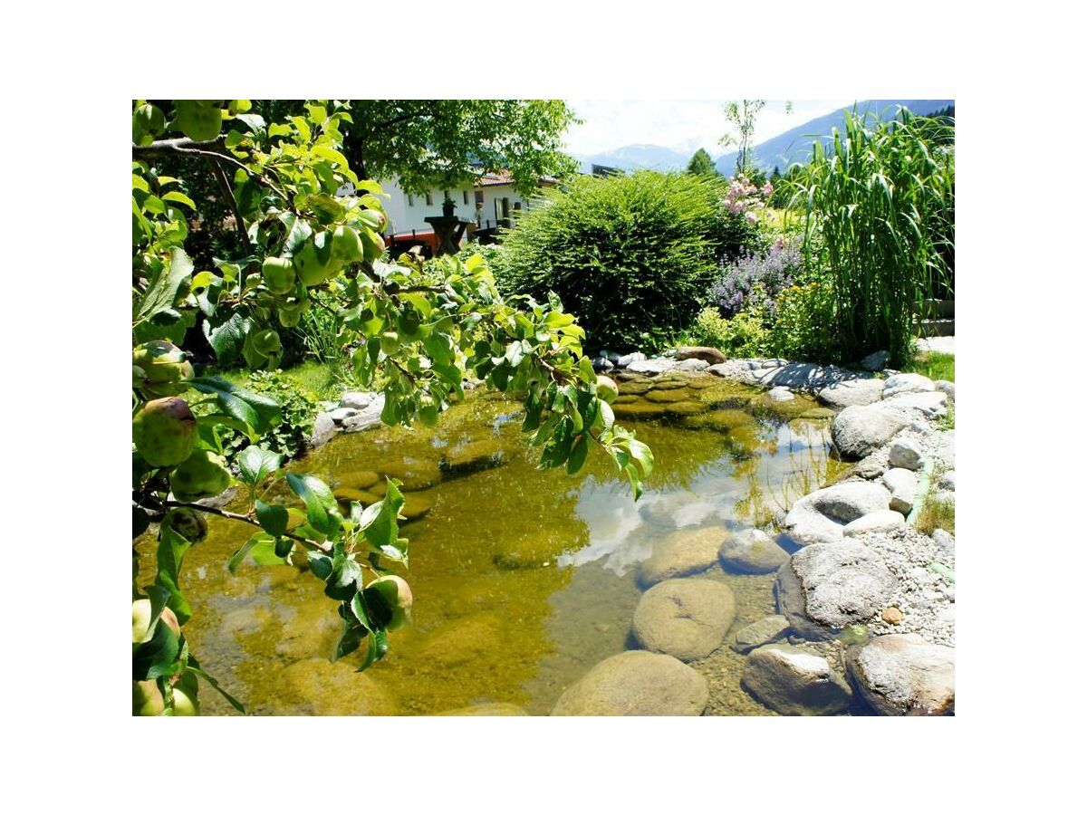 Apartment Ferienwohnung Landhaus Katharina - Outdoor photo 5