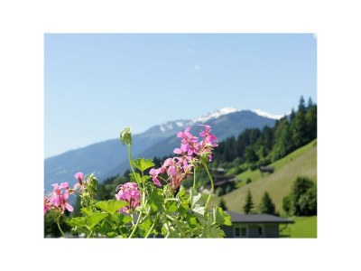 Apartment Ferienwohnung Landhaus Katharina - Outdoor photo 14