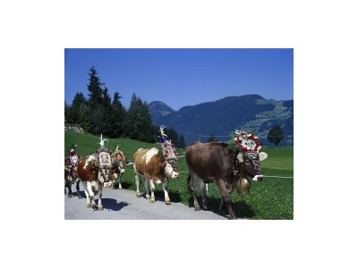 Apartment Ferienwohnung Landhaus Katharina - Outdoor photo 27