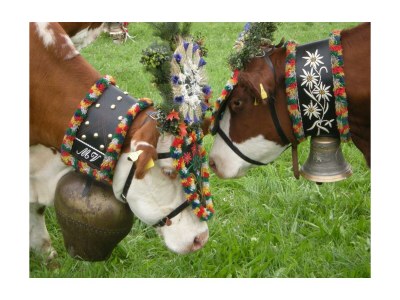 Apartment Ferienwohnung Landhaus Katharina - Outdoor photo 28