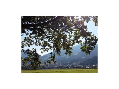 Apartment Ferienwohnung Landhaus Katharina - Outdoor photo 31