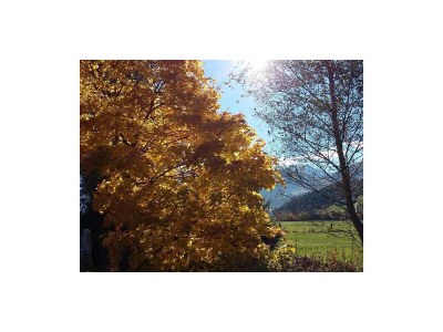 Apartment Ferienwohnung Landhaus Katharina - Outdoor photo 32