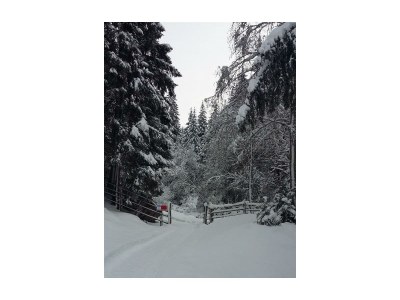 Apartment Ferienwohnung Landhaus Katharina - Outdoor photo 49