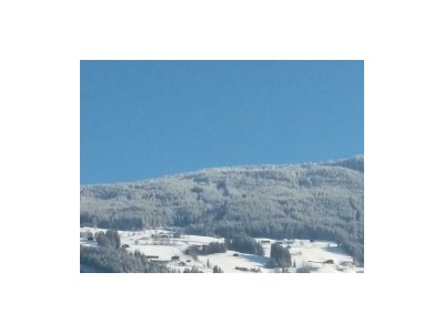 Apartment Ferienwohnung Landhaus Katharina - Outdoor photo 52