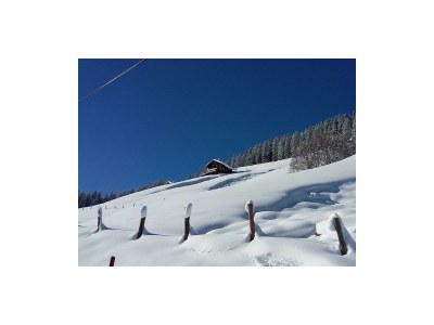 Apartment Ferienwohnung Landhaus Katharina - Outdoor photo 57