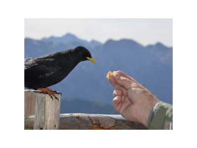 Apartment Ferienwohnung Landhaus Katharina - Outdoor photo 70