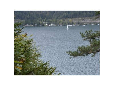 Apartment Ferienwohnung Landhaus Katharina - Outdoor photo 73