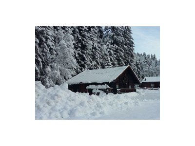 Apartment Ferienwohnung Landhaus Katharina - Outdoor photo 84