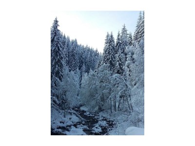 Apartment Ferienwohnung Landhaus Katharina - Outdoor photo 92