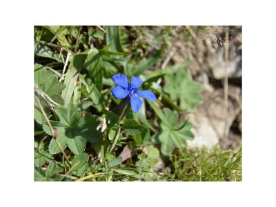 Apartment Ferienwohnung Landhaus Katharina - Outdoor photo 96