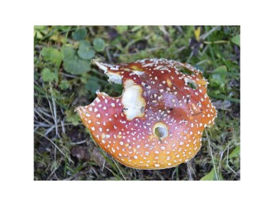 Apartment Ferienwohnung Landhaus Katharina - Outdoor photo 97