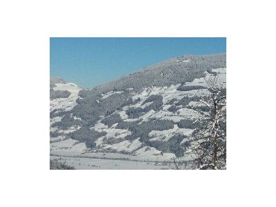 Apartment Ferienwohnung Landhaus Katharina - Features photo 105