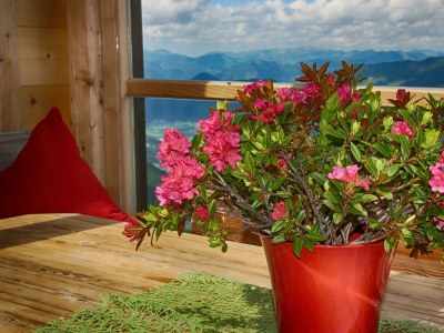 Apartment Chalet Hochzillertal - Familie Luxner - Outdoor photo 18
