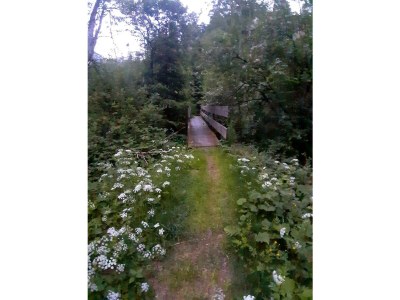 Apartment Appartement Haus Pretterhofer - Outdoor photo 12