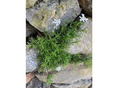 Apartment Escape Resort Laimbachof - Outdoor photo 21