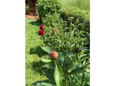 Apartment Escape Resort Laimbachof - Outdoor photo 23