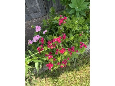 Apartment Escape Resort Laimbachof - Outdoor photo 24