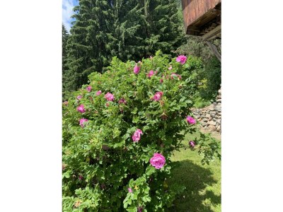 Apartment Escape Resort Laimbachof - Outdoor photo 25