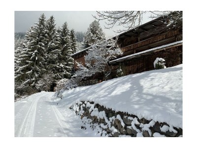 Apartment Escape Resort Laimbachof - Outdoor photo 28