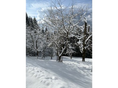 Apartment Escape Resort Laimbachof - Outdoor photo 29