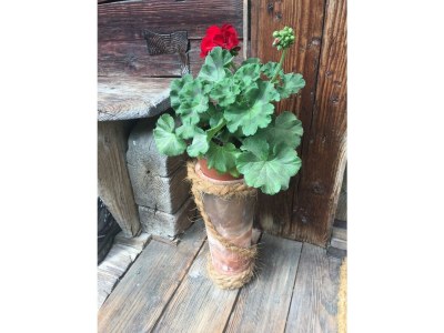 Apartment Escape Resort Laimbachof - Outdoor photo 31