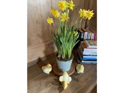 Apartment Escape Resort Laimbachof - Outdoor photo 33