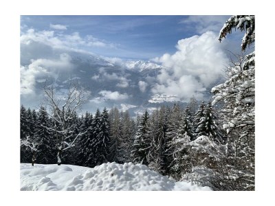 Apartment Escape Resort Laimbachof - Outdoor photo 34