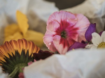 Apartment Apartment Sonnenröschen - Outdoor photo 36