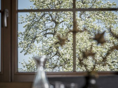 Apartment Apartment Sonnenröschen - Outdoor photo 73