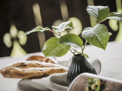 Apartment Apartment Sonnenröschen - Outdoor photo 99