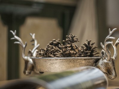 Apartment Apartment Sonnenröschen - Features photo 128