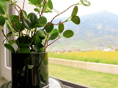 Apartment Appartement Hamberg-View - Outdoor photo 67