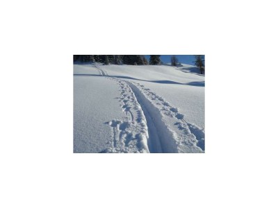 Apartment Familienhaus - Outdoor photo 9