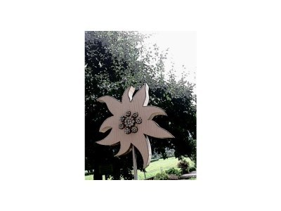 Apartment Familienhaus - Outdoor photo 19