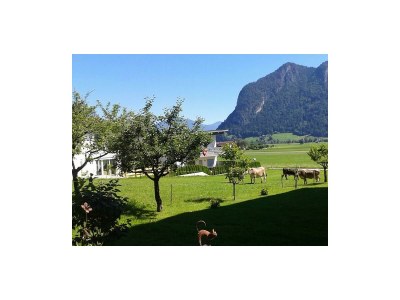 Apartment Appartement Waldblick - Outdoor photo 15